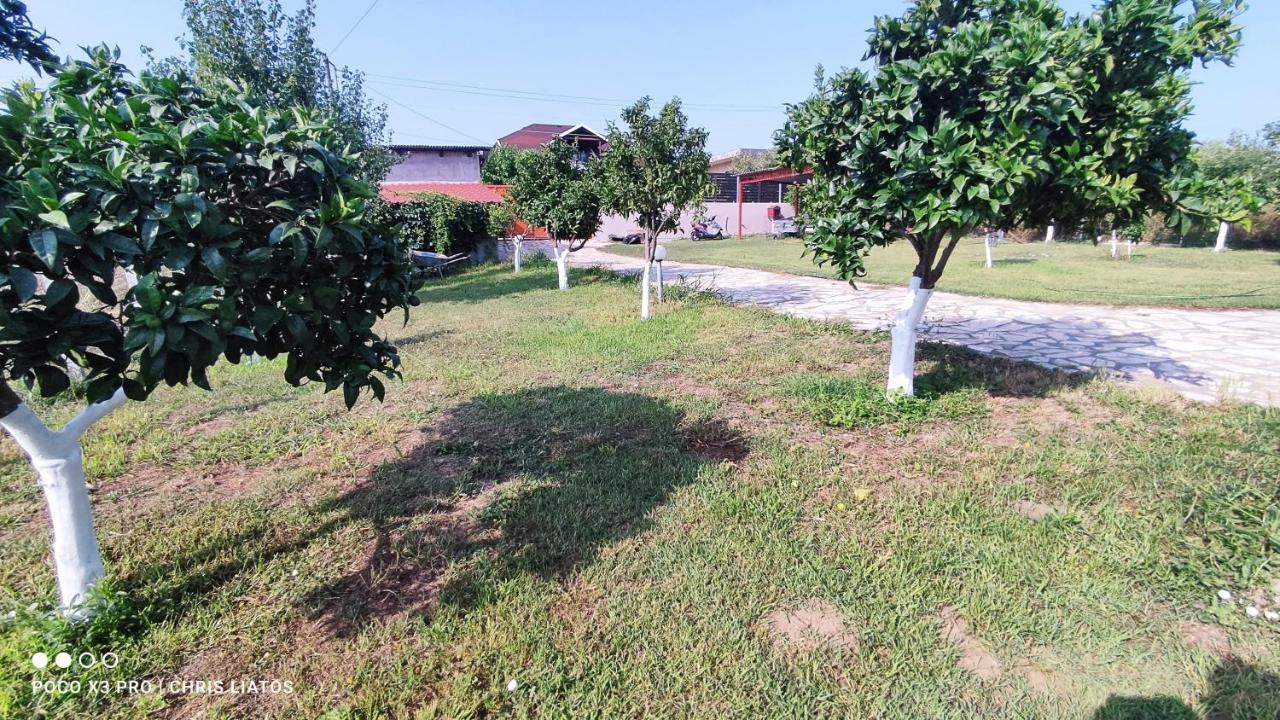 Villa Vivian Philoxenia Nea Sampsounta Exterior foto